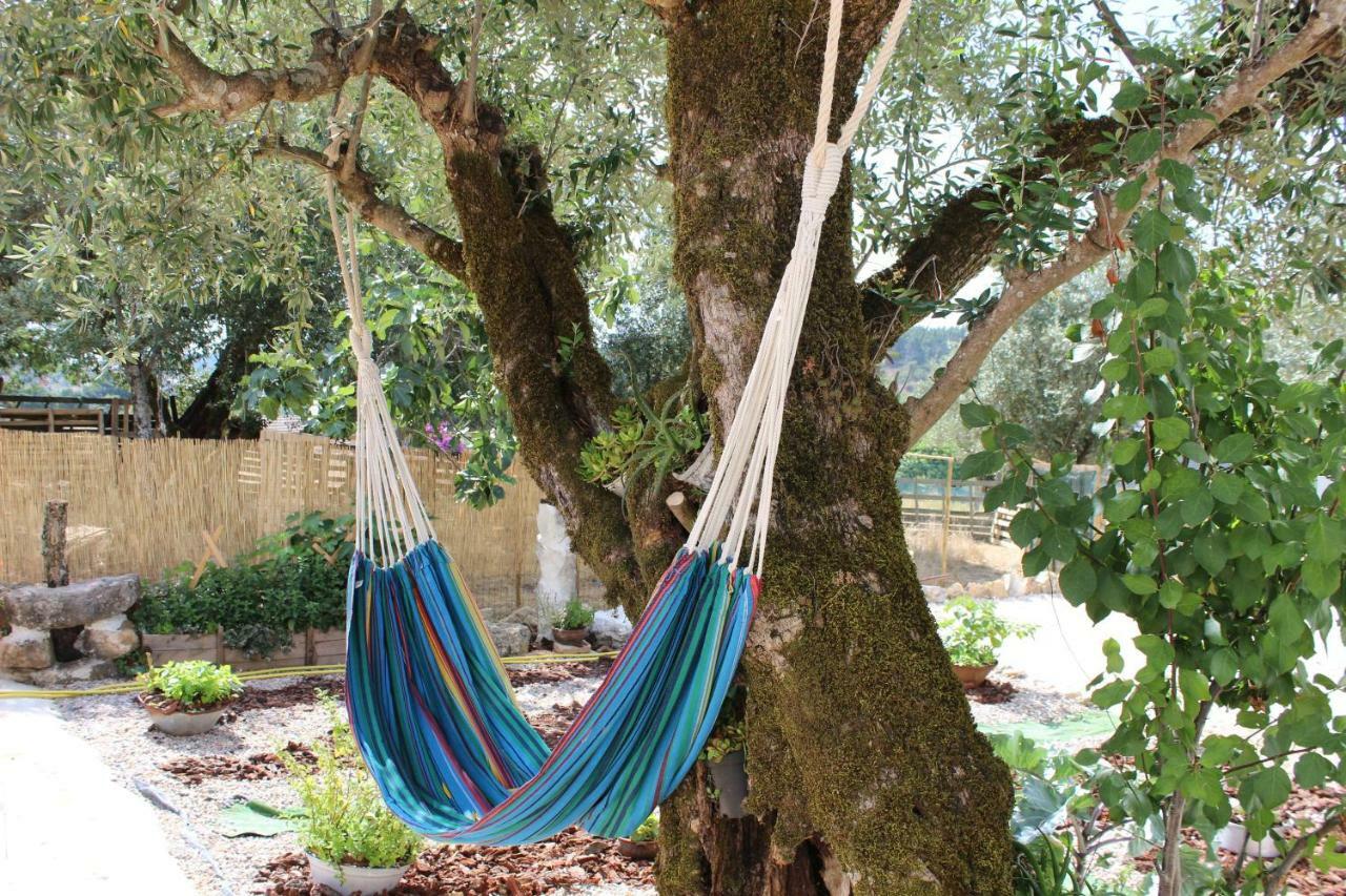 Turismo Rural Casa Da Ceu Amiais de Cima Екстер'єр фото