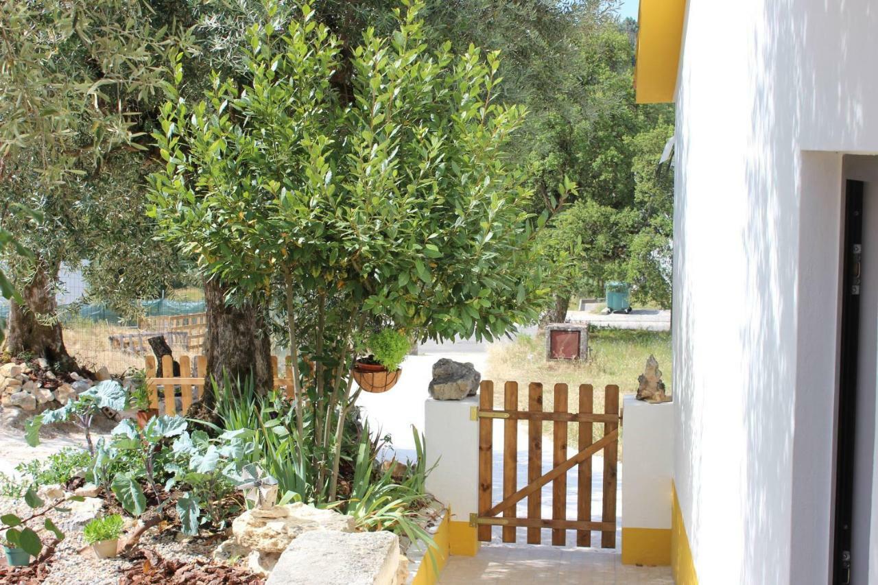 Turismo Rural Casa Da Ceu Amiais de Cima Екстер'єр фото